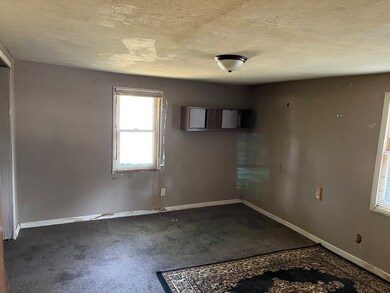 117 Clark St, Chenoa, IL 61726 - photo 5