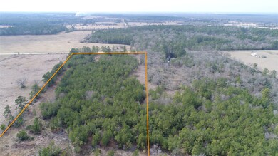 View from rear of property