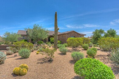 Front Yard Landscaping