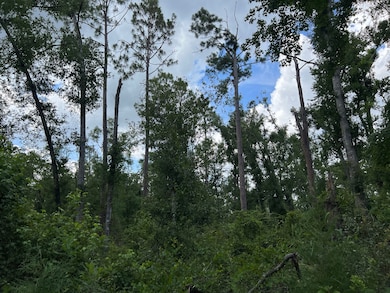 17582 14th St, Live Oak, FL 32060 - photo 3