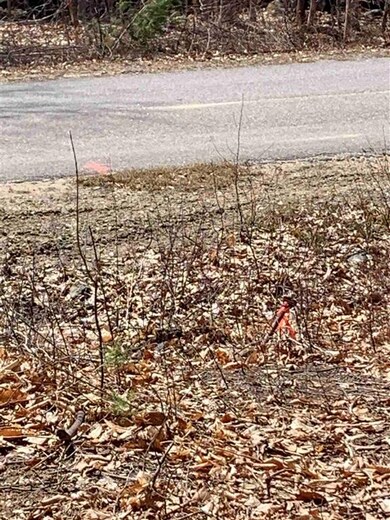 24 Ski Lift Ln, Plymouth, NH 03264 - photo 6