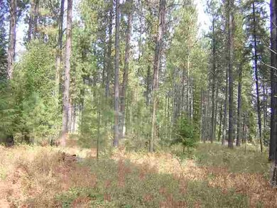 0 W Akers Ln, Colbert, WA 99005 - photo 3