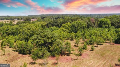 3439 TRACT 3 Providence Church Rd, Hartwell, GA 30643 - photo 5