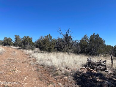 00 Stockmans Rd, Ash Fork, AZ 86320 - photo 7