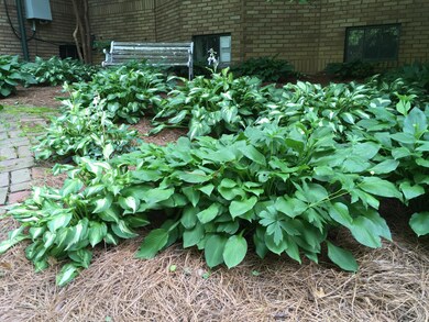 1360 Eastern Pkwy unit 1, Louisville, KY 40204 - photo 5