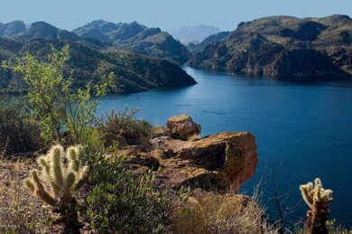 SAGUARO LAKE