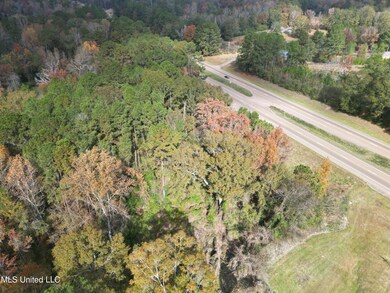 0 Dear Dr, Mendenhall, MS 39114 - photo 5