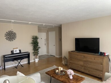 Hammond Park Condominiums unit 301, Chestnut Hill, MA 02467 - photo 3