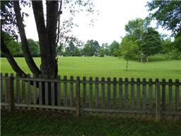 looking over  into the back yard, no back yard nei
