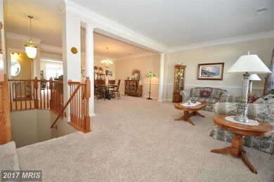 5720 Callcott Way unit T, Alexandria, VA 22312 - photo 5
