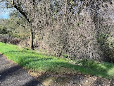 4881 Pueblo Trail, Copperopolis, CA 95229 - photo 5