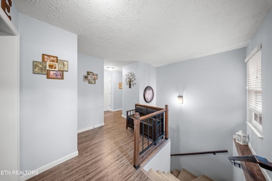 605 Belle Glade Ln, Knoxville, TN 37923 - photo 4