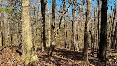 0 Harley Rucker Rd unit 19785832, Elberton, GA 30635 - photo 7