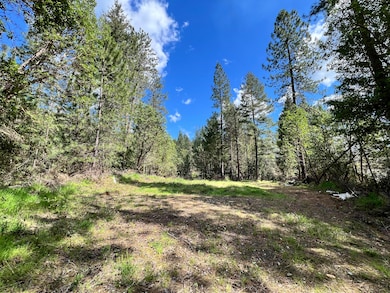 Land on other side of creek