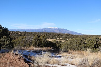 0 Shawnee Cir unit Lot 89, Walsenburg, CO 81089 - photo 3