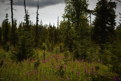 C13 Alaskan Wildwood Ranch(r), Nikolaevsk, AK 99556 - photo 7