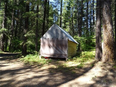 601 Wadsworth Loop, Ronald, WA 98940 - photo 5