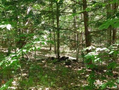 0 Slicker Rd unit Shippee Rd Rear, Day, NY 12822 - photo 7