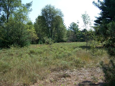 Lot View