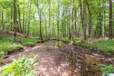 00 Highway 26, Alabaster, AL 35007 - photo 2