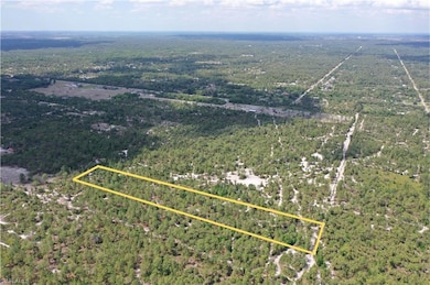 0 Frangipani Ave unit 225035722, Naples, FL 34117 - photo 3