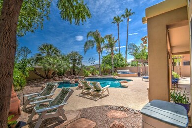 Awesome back yard