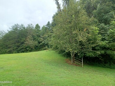 440 Lewis Ln, Blaine, TN 37709 - photo 5