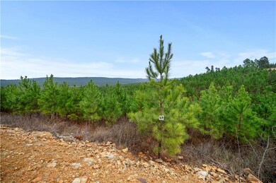 0 Lot 69 unit 989491, Broken Bow, OK 74728 - photo 5