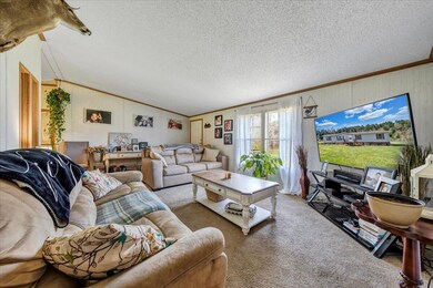 Large Living Room