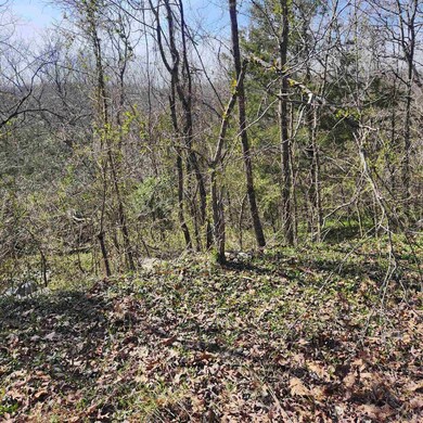 L-3, B-24 Algonquin Cir, Cherokee Village, AR 72529 - photo 6