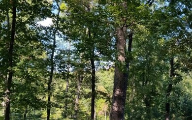 Additional View