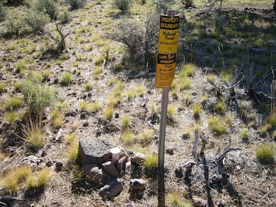 0 20 Acres Off Technor Robison Rd unit 20250909, MacDoel, CA 96058 - photo 3