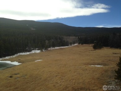 2105 Old School House Rd, Bellvue, CO 80512 - photo 3