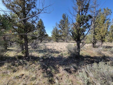 image000003 (2)