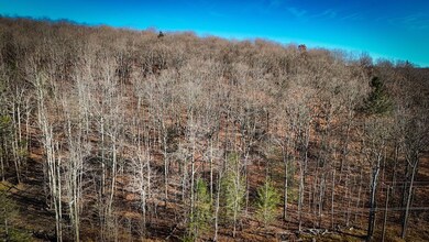 0 Langford Creek Rd unit LotWP001, van Etten, NY 14889 - photo 4