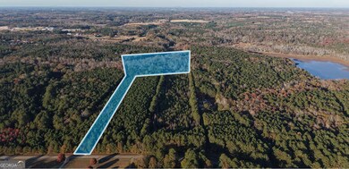 LOT #1 S Hampton Annex, Hampton, GA 30228 - photo 4