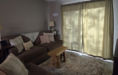 4141 E Jost Dr, Luther, MI 49656 - photo 7