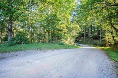 000 Cox Store Rd SW, Floyd, VA 24091 - photo 3