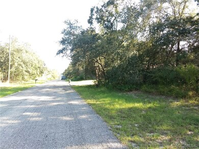 South View from lot