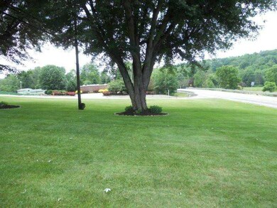 Yard/Garden.