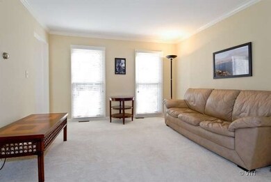 2531 Leach Dr, Naperville, IL 60564 - photo 5