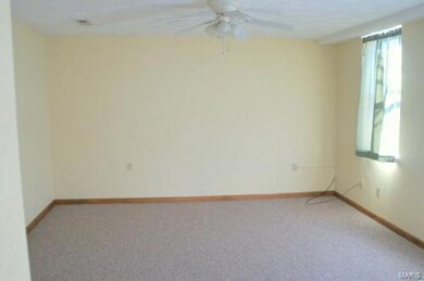 8 S Monroe St, Freeburg, IL 62243 - photo 3