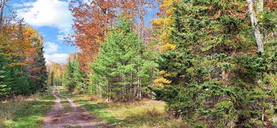 View of nature