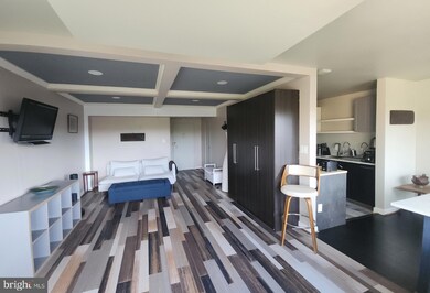 The Towers unit 1418, Washington, DC 20016 - photo 3