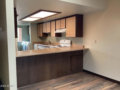 LV looking into Kitchen