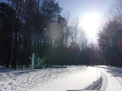 100_0281.JPG