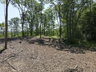 0 Denio Rd unit 5059215, Barnet, VT 05819 - photo 2