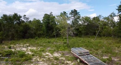 0 Baker Ave unit 774505, Alford, FL 32420 - photo 4