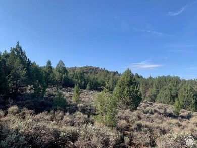 38 S 6 W unit 13, Alton, UT 84710 - photo 6