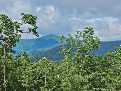 17 Buckhead Hills, Hiawassee, GA 30546 - photo 6